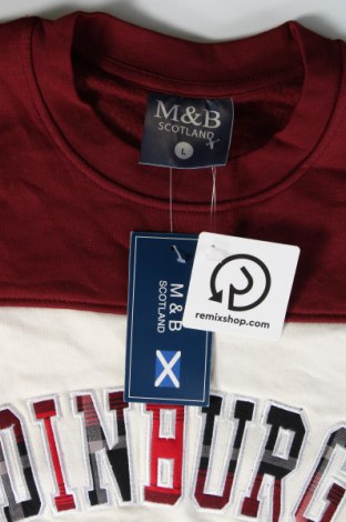 Herren Shirt M&b, Größe L, Farbe Mehrfarbig, Preis 18,76 €