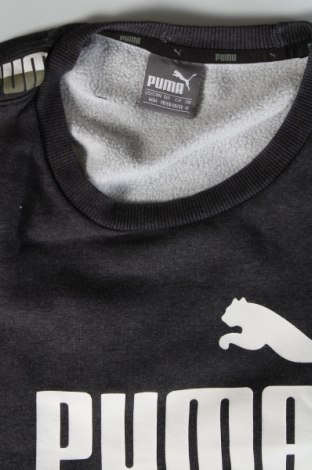 Ανδρική μπλούζα PUMA, Μέγεθος M, Χρώμα Γκρί, Τιμή 17,88 €
