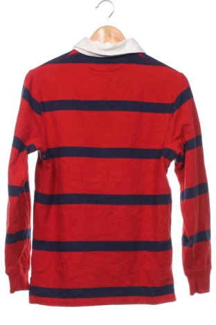 Herren Shirt Polo By Ralph Lauren, Größe S, Farbe Mehrfarbig, Preis € 46,97