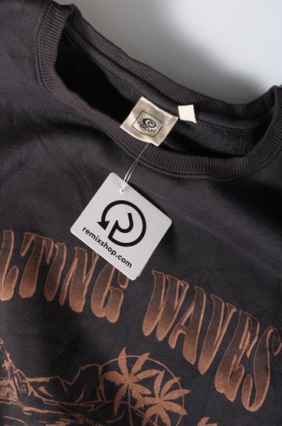 Ανδρική μπλούζα Rip Curl, Μέγεθος S, Χρώμα Γκρί, Τιμή 6,68 €