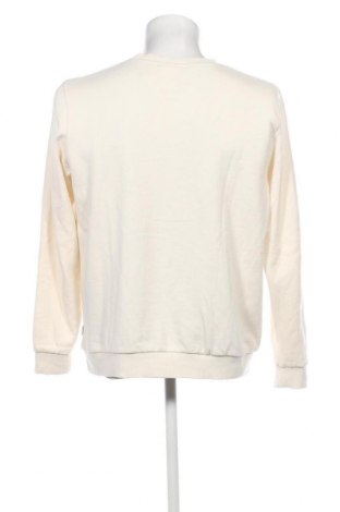 Ανδρική μπλούζα Shiwi, Μέγεθος L, Χρώμα Εκρού, Τιμή 14,38 €