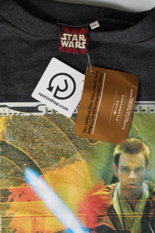 Pánské tričko  Star Wars, Velikost XL, Barva Šedá, Cena  988,00 Kč