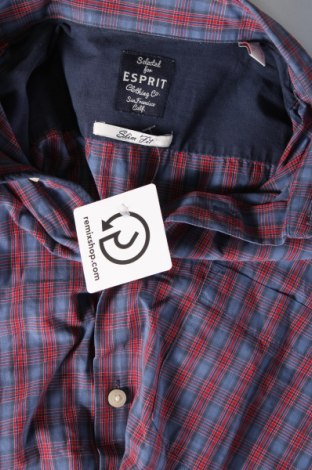 Herrenhemd Esprit, Größe M, Farbe Mehrfarbig, Preis € 4,73