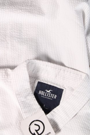 Herrenhemd Hollister, Größe L, Farbe Weiß, Preis € 17,00