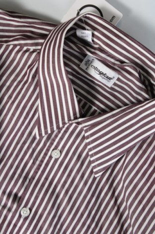 Pánska košeľa  Walbusch, Veľkosť XL, Farba Viacfarebná, Cena  12,48 €