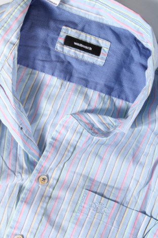 Herrenhemd Walbusch, Größe XL, Farbe Mehrfarbig, Preis 19,14 €
