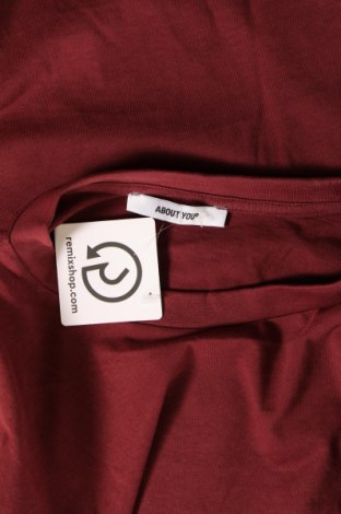 Herren T-Shirt About You, Größe M, Farbe Aschrosa, Preis € 20,62