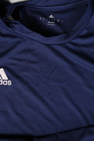 Herren T-Shirt Adidas, Größe M, Farbe Blau, Preis 13,81 €