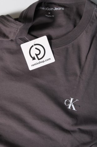 Ανδρικό t-shirt Calvin Klein Jeans, Μέγεθος M, Χρώμα Γκρί, Τιμή 31,75 €