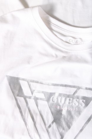 Ανδρικό t-shirt Guess, Μέγεθος L, Χρώμα Λευκό, Τιμή 39,69 €
