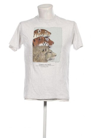 Ανδρικό t-shirt Hannes Roether, Μέγεθος M, Χρώμα Γκρί, Τιμή 10,54 €