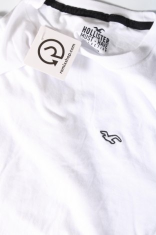 Herren T-Shirt Hollister, Größe L, Farbe Weiß, Preis 15,98 €
