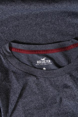 Herren T-Shirt Hollister, Größe XXL, Farbe Blau, Preis 9,74 €