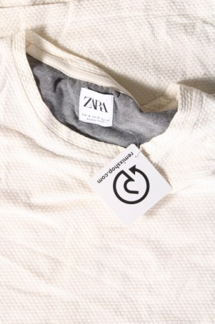 Herren T-Shirt Zara, Größe M, Farbe Ecru, Preis 11,13 €