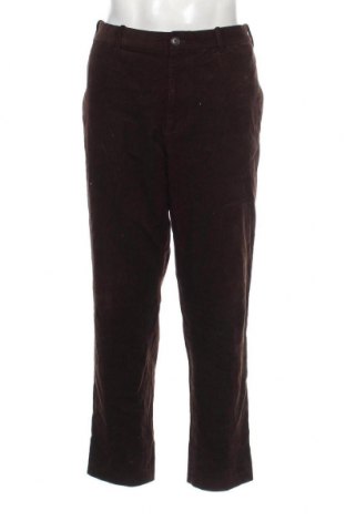 Herren Cordhose Uniqlo, Größe M, Farbe Braun, Preis € 28,53