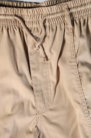 Herren Shorts, Größe XL, Farbe Beige, Preis 17,40 €