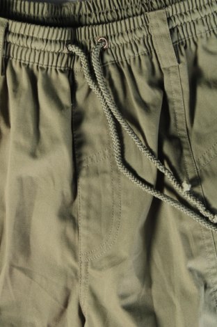 Мъжки къс панталон, Размер L, Цвят Зелен, Цена 25,00 лв.