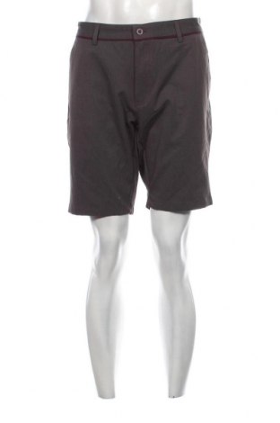 Herren Shorts, Größe L, Farbe Grau, Preis € 17,40