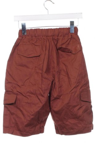 Ανδρικό κοντό παντελόνι, Μέγεθος S, Χρώμα Καφέ, Τιμή 15,46 €