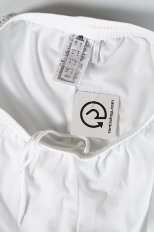 Ανδρικό κοντό παντελόνι Adidas, Μέγεθος M, Χρώμα Λευκό, Τιμή 16,82 €
