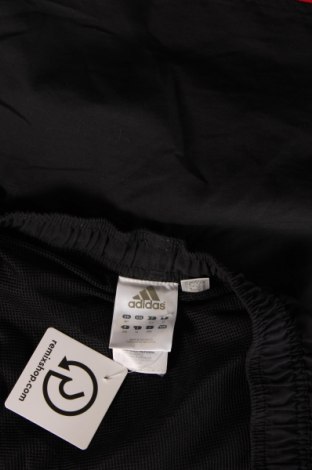 Herren Shorts Adidas, Größe XXL, Farbe Schwarz, Preis € 23,66