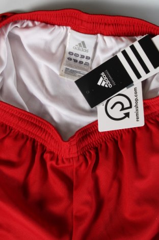 Herren Shorts Adidas, Größe M, Farbe Rot, Preis 53,99 €