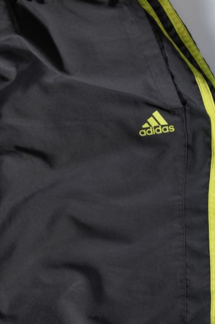 Herren Shorts Adidas, Größe S, Farbe Grau, Preis 22,48 €