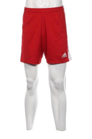 Ανδρικό κοντό παντελόνι Adidas, Μέγεθος M, Χρώμα Κόκκινο, Τιμή 17,88 €