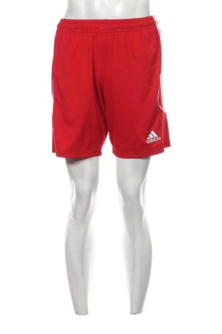 Herren Shorts Adidas, Größe M, Farbe Rot, Preis 21,29 €