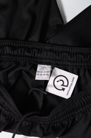 Herren Shorts Adidas, Größe XL, Farbe Schwarz, Preis 22,48 €