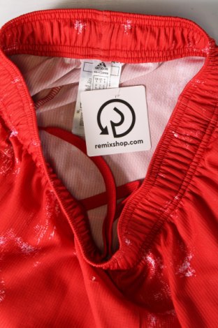 Ανδρικό κοντό παντελόνι Adidas, Μέγεθος S, Χρώμα Κόκκινο, Τιμή 21,03 €