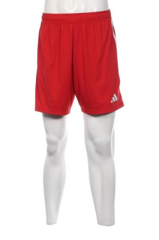 Herren Shorts Adidas, Größe L, Farbe Rot, Preis € 21,29