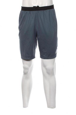 Herren Shorts Adidas, Größe M, Farbe Grün, Preis 23,66 €