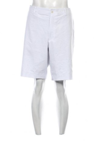 Ανδρικό κοντό παντελόνι Ben Hogan, Μέγεθος XL, Χρώμα Γκρί, Τιμή 13,91 €