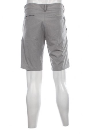 Ανδρικό κοντό παντελόνι Burnside, Μέγεθος M, Χρώμα Γκρί, Τιμή 12,99 €