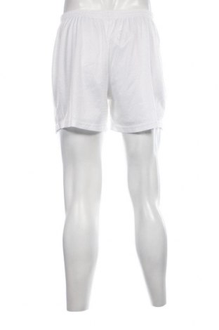Ανδρικό κοντό παντελόνι Champion, Μέγεθος L, Χρώμα Λευκό, Τιμή 15,46 €