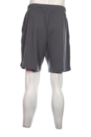 Herren Shorts Crane, Größe XL, Farbe Grau, Preis € 13,22