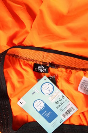 Ανδρικό κοντό παντελόνι Crivit, Μέγεθος L, Χρώμα Πορτοκαλί, Τιμή 12,75 €