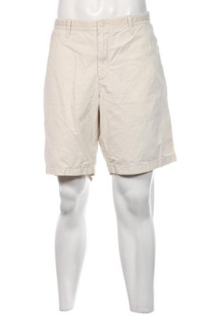 Herren Shorts Gap, Größe XL, Farbe Ecru, Preis € 18,79