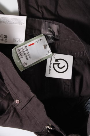 Ανδρικό κοντό παντελόνι H&M, Μέγεθος M, Χρώμα Γκρί, Τιμή 21,03 €