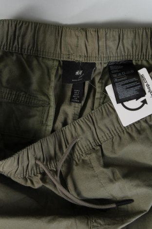 Herren Shorts H&M, Größe M, Farbe Grün, Preis 17,40 €