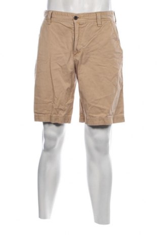Ανδρικό κοντό παντελόνι Izod, Μέγεθος M, Χρώμα  Μπέζ, Τιμή 15,46 €