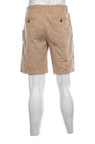 Herren Shorts Izod, Größe M, Farbe Beige, Preis 17,40 €