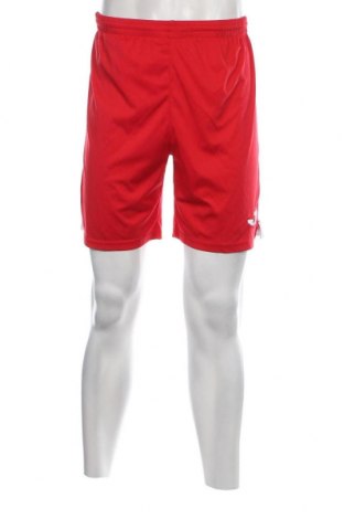 Ανδρικό κοντό παντελόνι Joma, Μέγεθος M, Χρώμα Κόκκινο, Τιμή 11,75 €