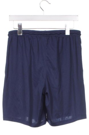 Herren Shorts Nike, Größe S, Farbe Blau, Preis € 23,66