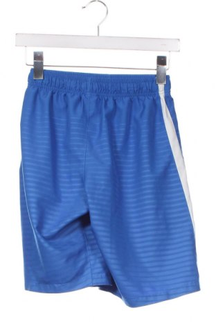 Herren Shorts Nike, Größe S, Farbe Blau, Preis € 17,00