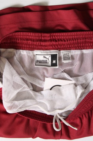 Ανδρικό κοντό παντελόνι PUMA, Μέγεθος M, Χρώμα Κόκκινο, Τιμή 16,82 €