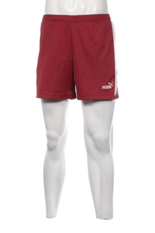 Herren Shorts PUMA, Größe M, Farbe Rot, Preis 18,93 €