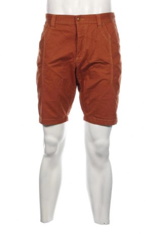 Мъжки къс панталон Piazza Italia, Размер L, Цвят Кафяв, Цена 25,09 лв.