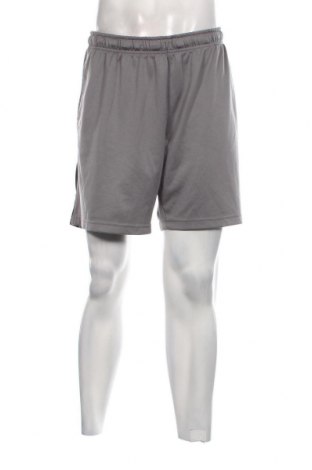 Ανδρικό κοντό παντελόνι Russell, Μέγεθος XL, Χρώμα Γκρί, Τιμή 6,18 €